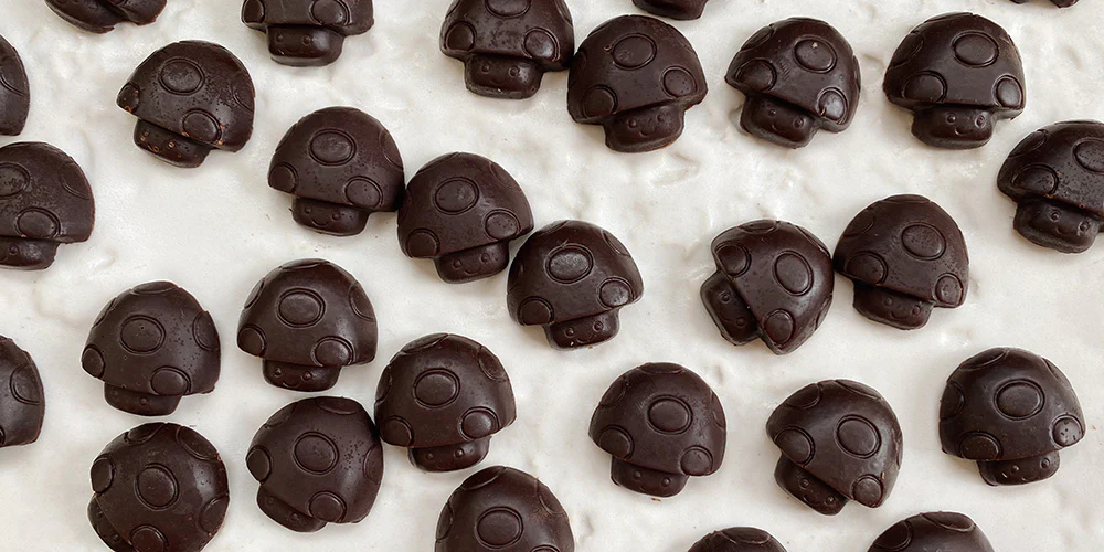 mushroom chocolate nearby